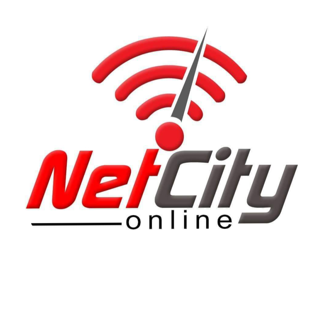 Net City Online Network-logo